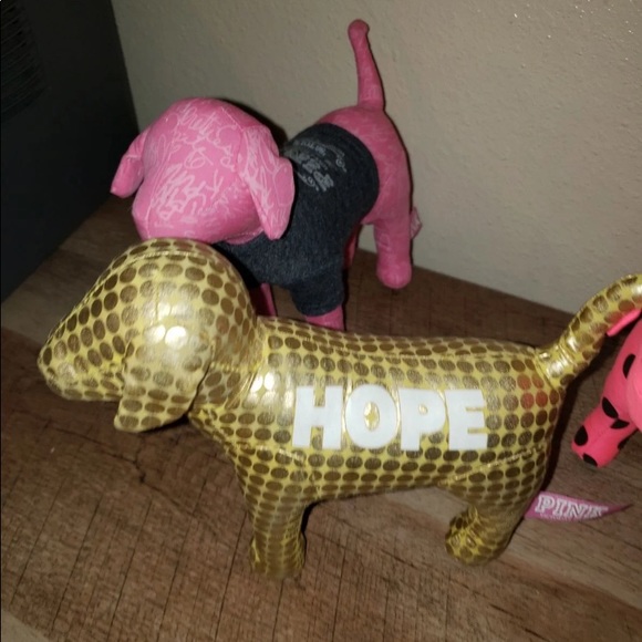 VS PINK 🐕 🐶 DOGS 🐩 - Picture 10 of 11